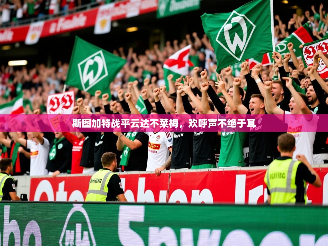 斯图加特战平云达不莱梅,欢呼声不绝于耳 斯图加特战平云达不莱梅,欢呼声不绝于耳