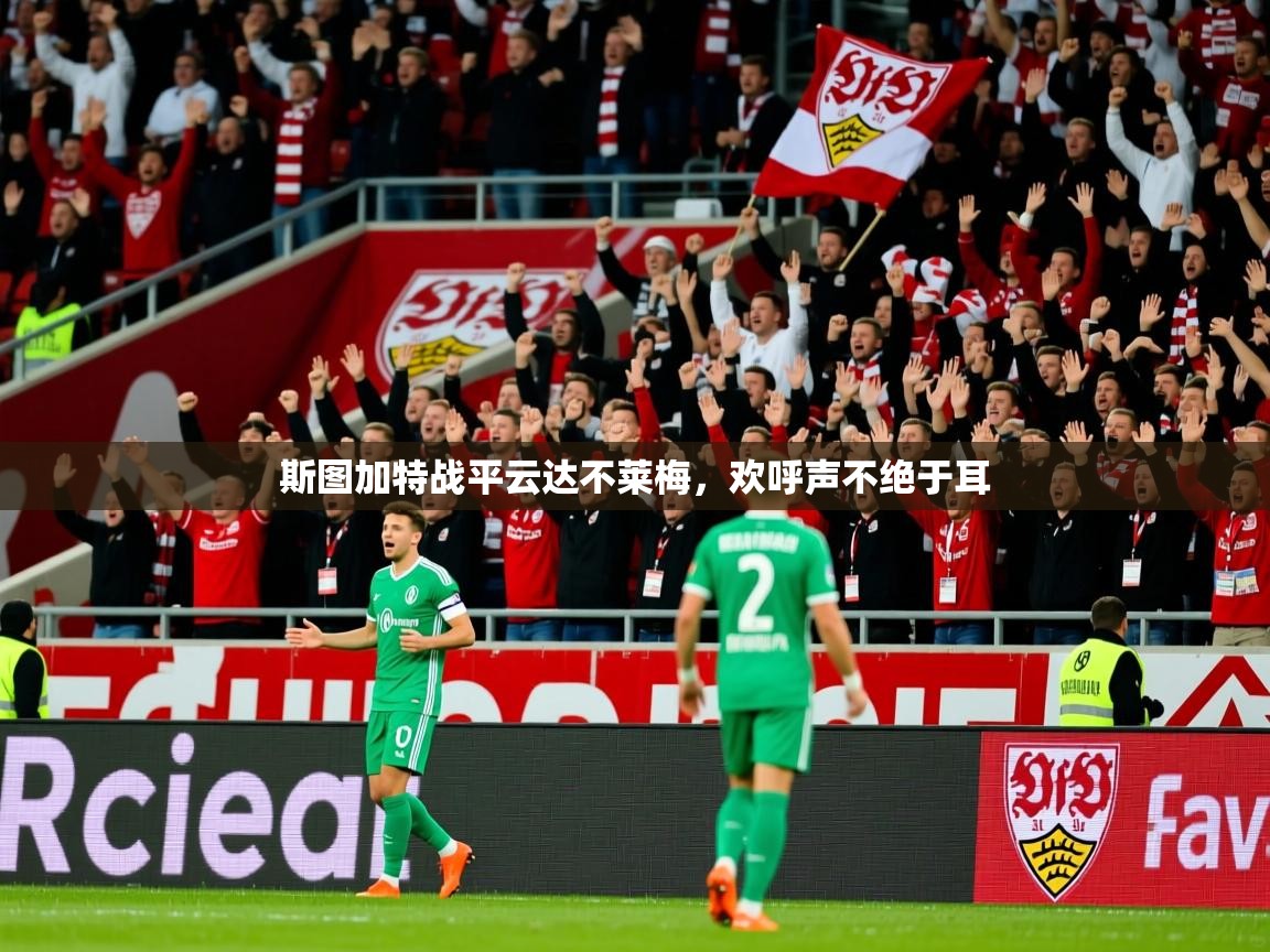斯图加特战平云达不莱梅,欢呼声不绝于耳 斯图加特战平云达不莱梅,欢呼声不绝于耳
