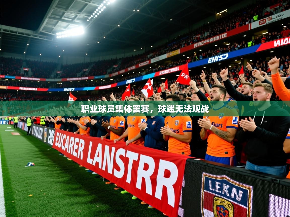职业球员集体罢赛，球迷无法观战