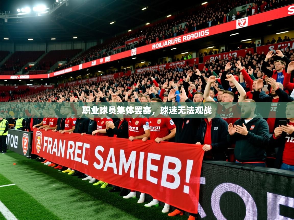 职业球员集体罢赛，球迷无法观战