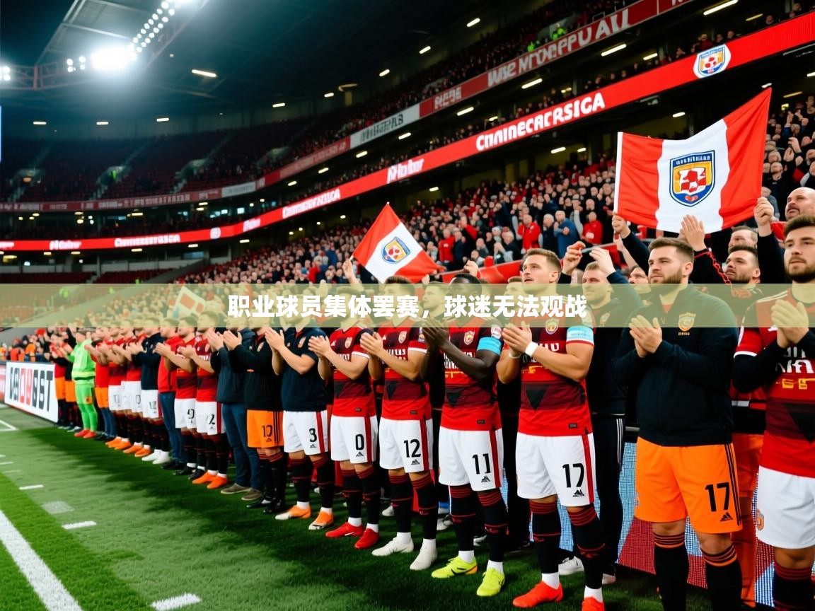 职业球员集体罢赛，球迷无法观战