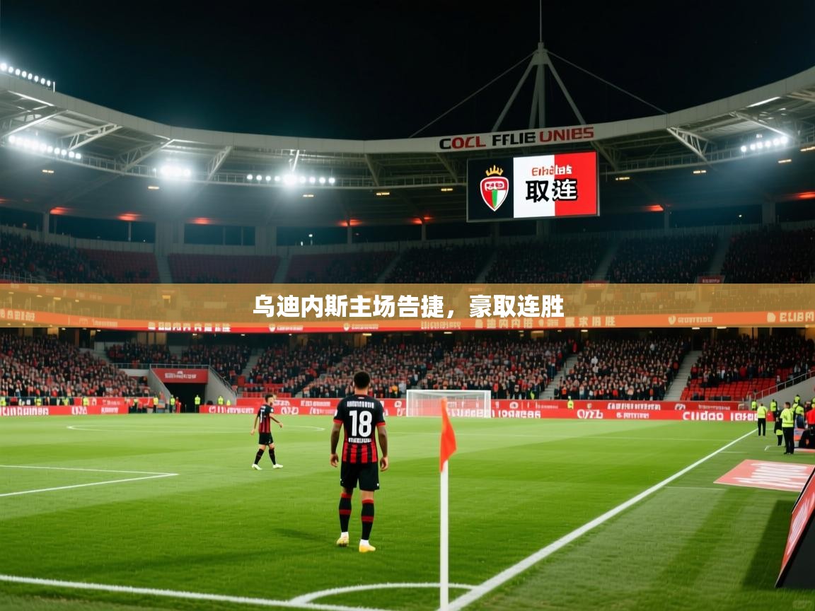 乌迪内斯主场告捷,豪取连胜 乌迪内斯主场告捷,豪取连胜