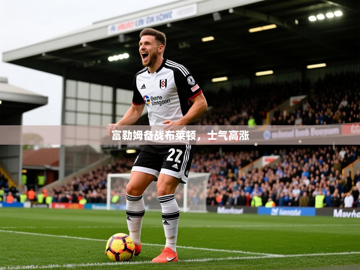 富勒姆备战布莱顿,士气高涨 富勒姆备战布莱顿,士气高涨