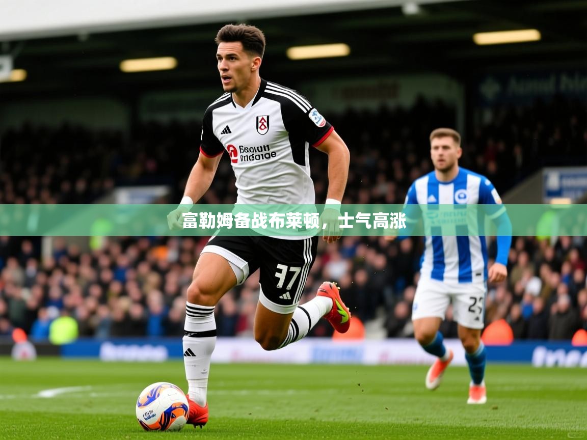 富勒姆备战布莱顿,士气高涨 富勒姆备战布莱顿,士气高涨