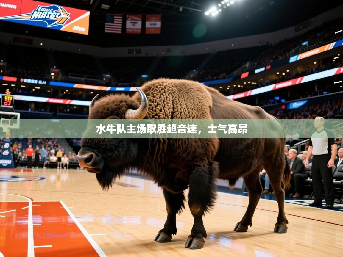 水牛队主场取胜超音速，士气高昂