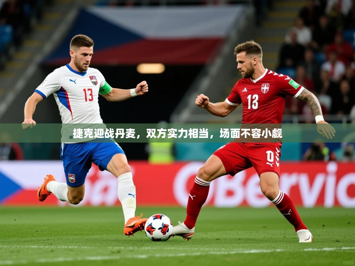 捷克迎战丹麦，双方实力相当，场面不容小觑